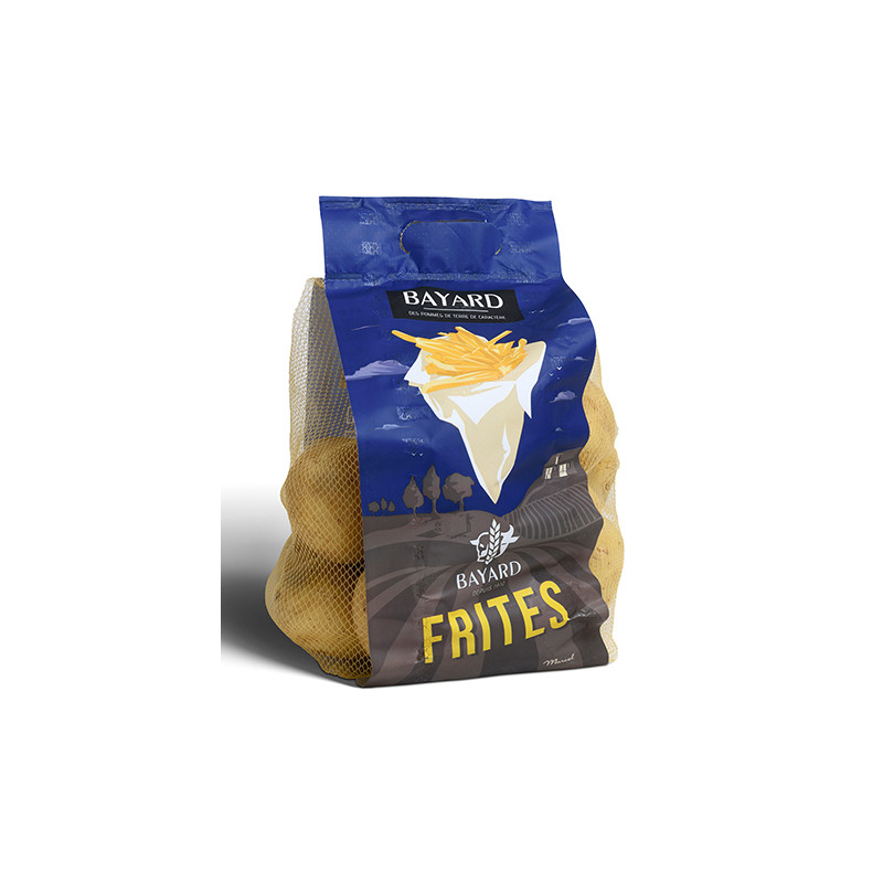 PDT FRITE BAYARD 100X2,5KG